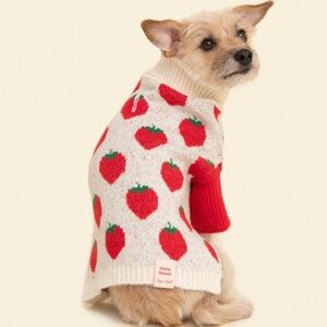 Lisa Says Gah x Little Beast Ella Strawberry Dog Sweater (M)